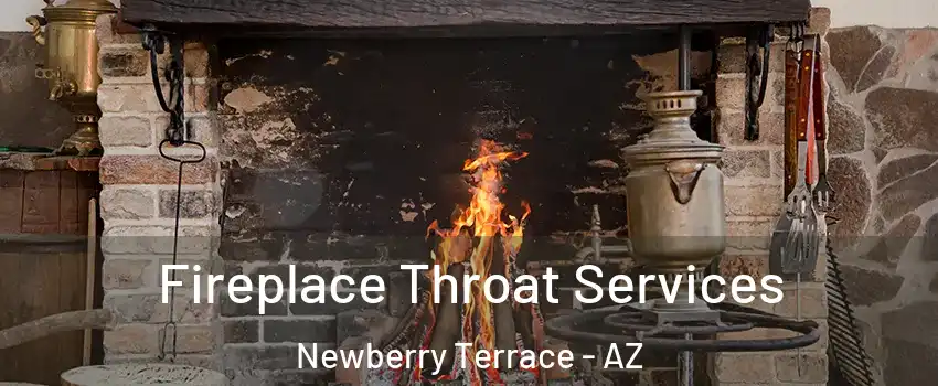 Fireplace Throat Services Newberry Terrace - AZ