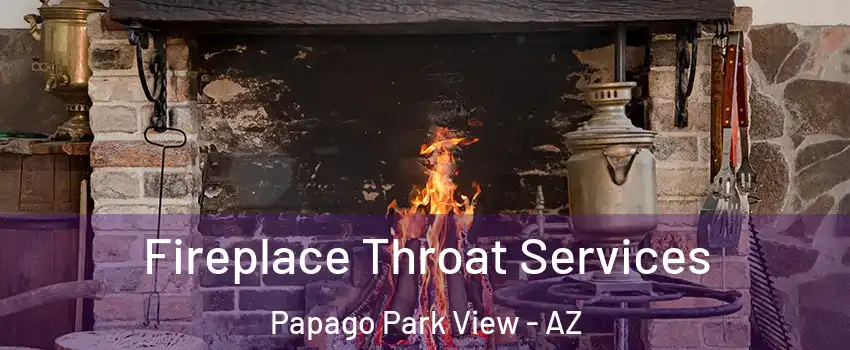 Fireplace Throat Services Papago Park View - AZ