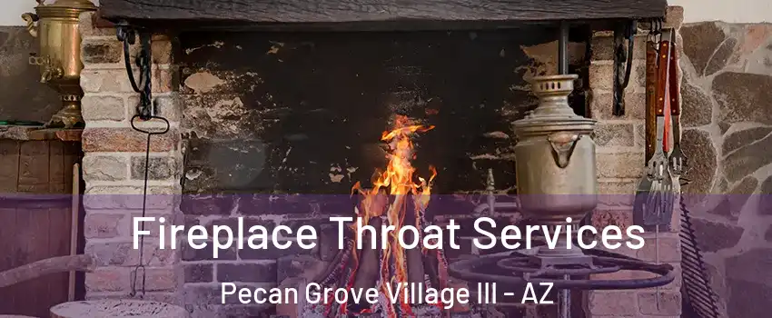 Fireplace Throat Services Pecan Grove Village III - AZ