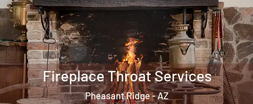 Fireplace Throat Services Pheasant Ridge - AZ
