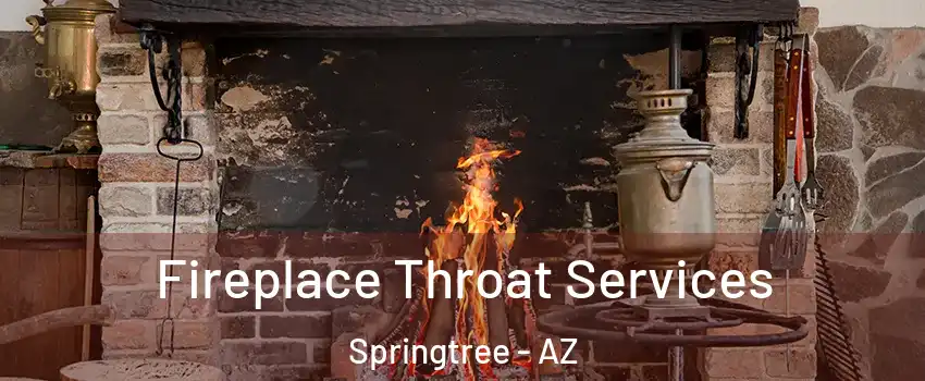 Fireplace Throat Services Springtree - AZ
