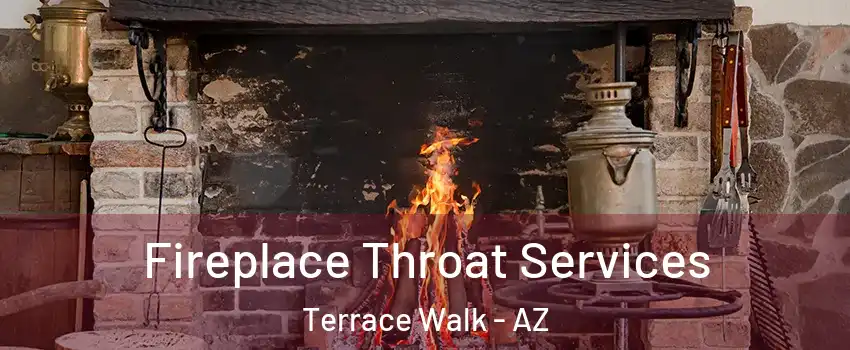 Fireplace Throat Services Terrace Walk - AZ