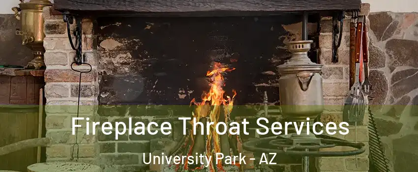 Fireplace Throat Services University Park - AZ