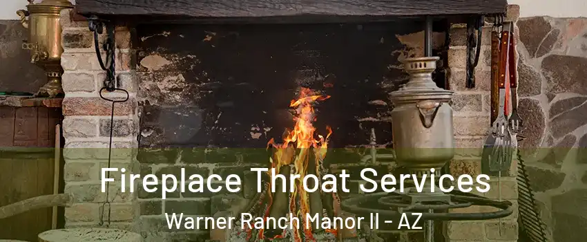 Fireplace Throat Services Warner Ranch Manor II - AZ