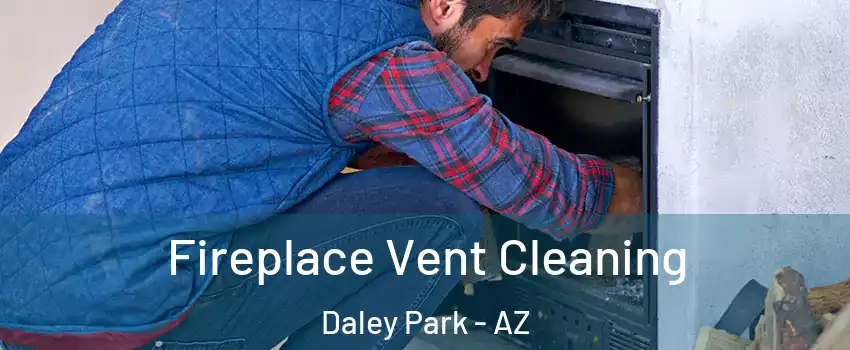 Fireplace Vent Cleaning Daley Park - AZ
