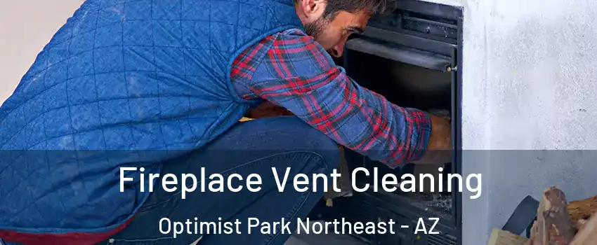 Fireplace Vent Cleaning Optimist Park Northeast - AZ