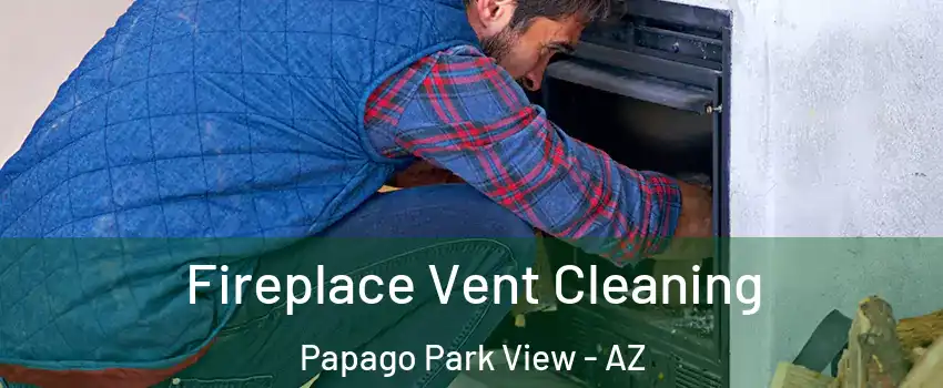 Fireplace Vent Cleaning Papago Park View - AZ