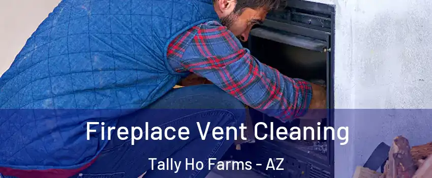 Fireplace Vent Cleaning Tally Ho Farms - AZ