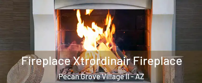 Fireplace Xtrordinair Fireplace Pecan Grove Village II - AZ