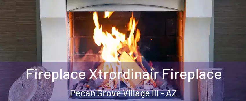 Fireplace Xtrordinair Fireplace Pecan Grove Village III - AZ