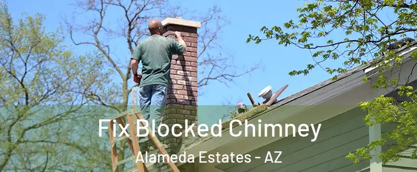 Fix Blocked Chimney Alameda Estates - AZ