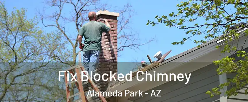 Fix Blocked Chimney Alameda Park - AZ
