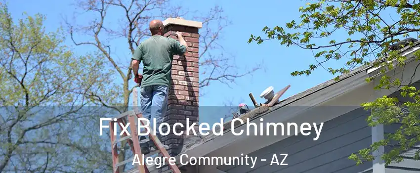 Fix Blocked Chimney Alegre Community - AZ