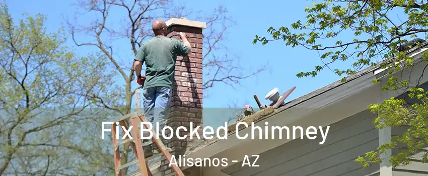 Fix Blocked Chimney Alisanos - AZ