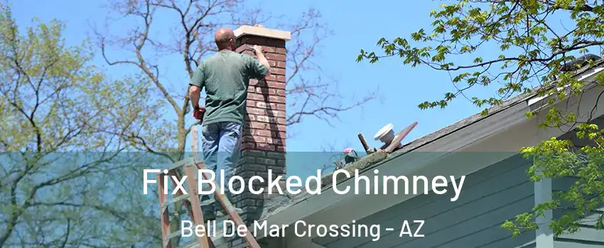 Fix Blocked Chimney Bell De Mar Crossing - AZ