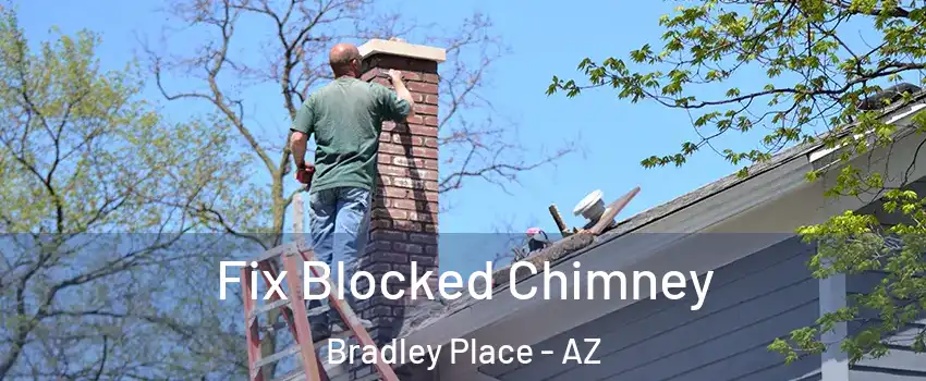 Fix Blocked Chimney Bradley Place - AZ