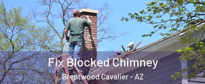 Fix Blocked Chimney Brentwood Cavalier - AZ