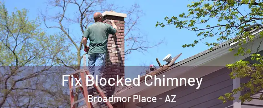 Fix Blocked Chimney Broadmor Place - AZ