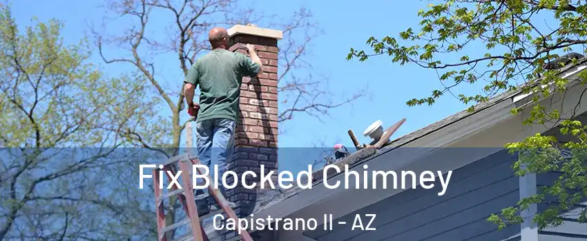 Fix Blocked Chimney Capistrano II - AZ