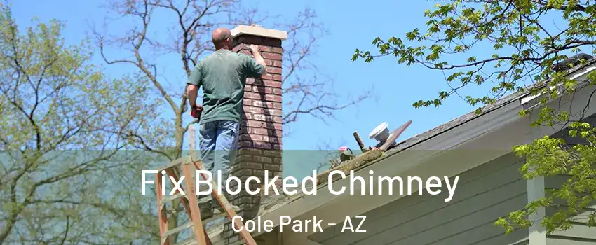 Fix Blocked Chimney Cole Park - AZ