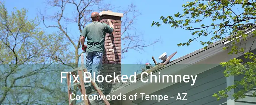 Fix Blocked Chimney Cottonwoods of Tempe - AZ