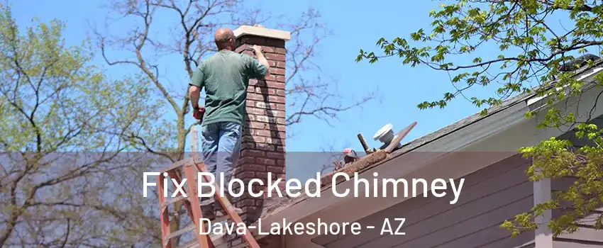 Fix Blocked Chimney Dava-Lakeshore - AZ