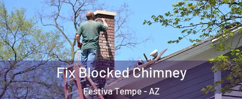 Fix Blocked Chimney Festiva Tempe - AZ