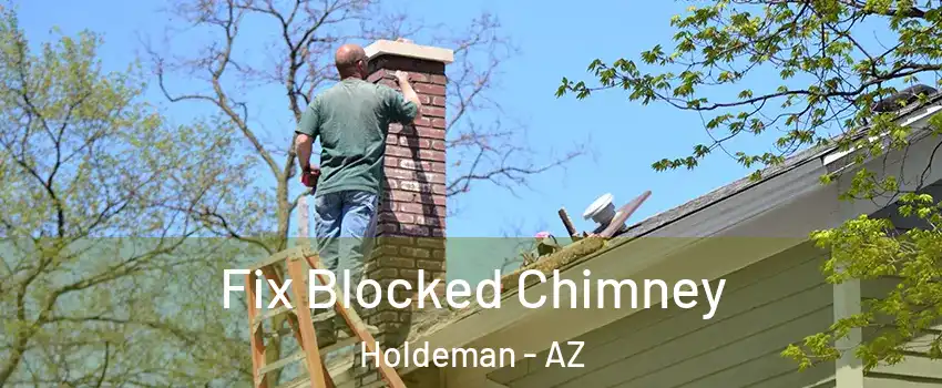 Fix Blocked Chimney Holdeman - AZ