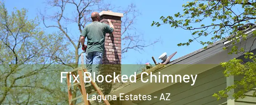 Fix Blocked Chimney Laguna Estates - AZ