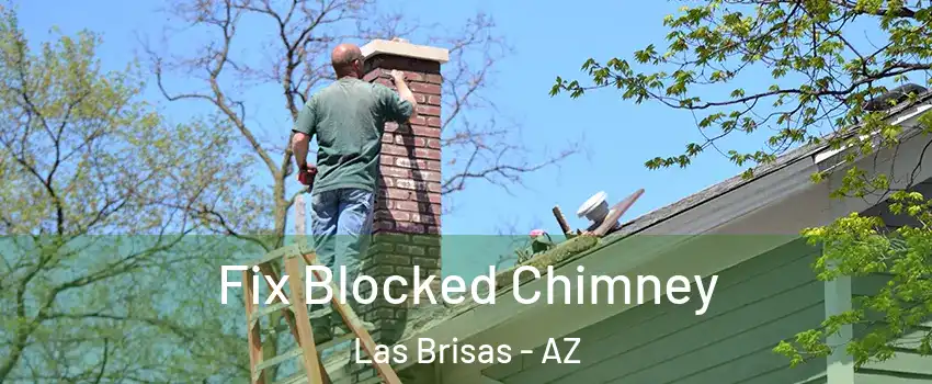Fix Blocked Chimney Las Brisas - AZ