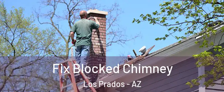 Fix Blocked Chimney Los Prados - AZ