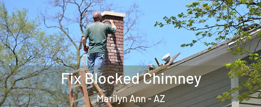 Fix Blocked Chimney Marilyn Ann - AZ