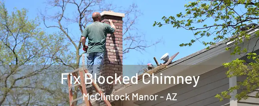 Fix Blocked Chimney McClintock Manor - AZ