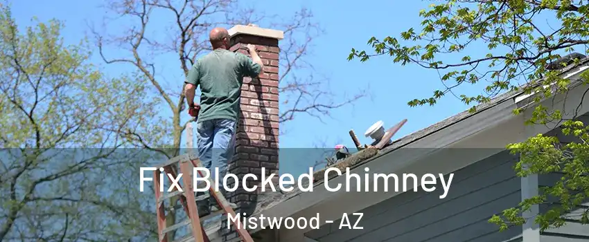 Fix Blocked Chimney Mistwood - AZ