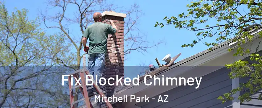 Fix Blocked Chimney Mitchell Park - AZ