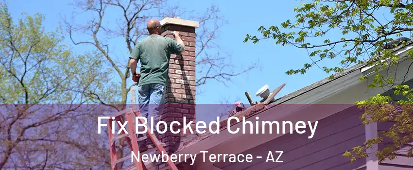 Fix Blocked Chimney Newberry Terrace - AZ