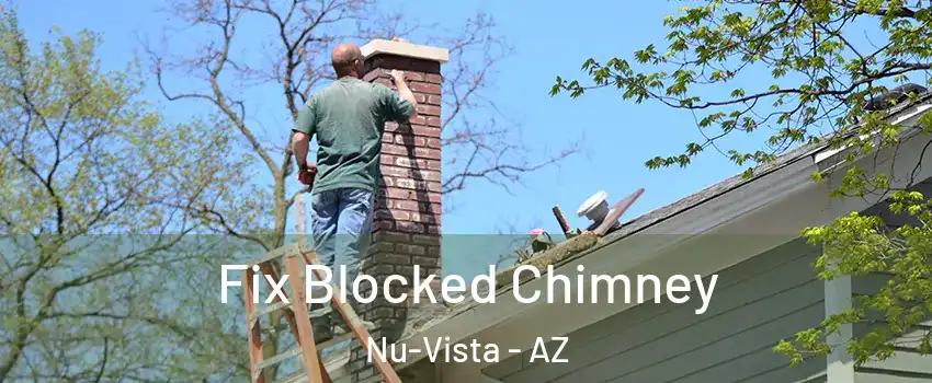 Fix Blocked Chimney Nu-Vista - AZ