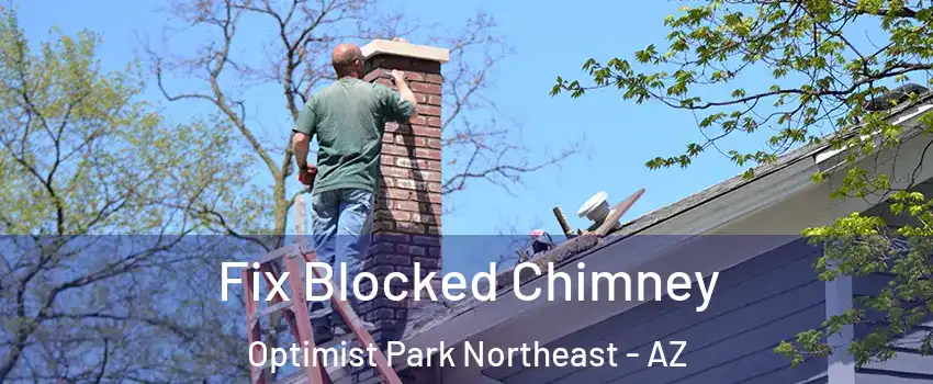 Fix Blocked Chimney Optimist Park Northeast - AZ