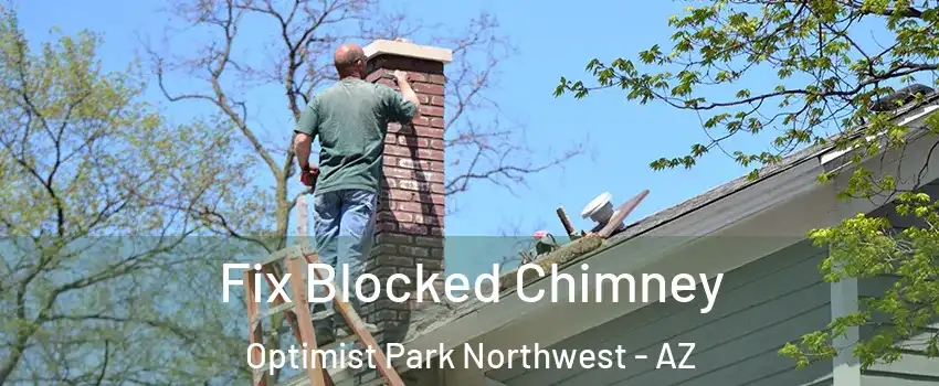 Fix Blocked Chimney Optimist Park Northwest - AZ