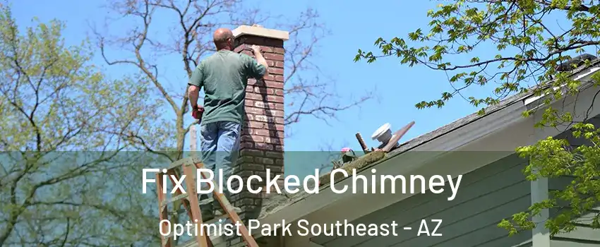 Fix Blocked Chimney Optimist Park Southeast - AZ