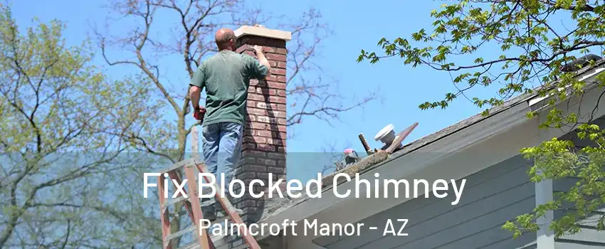 Fix Blocked Chimney Palmcroft Manor - AZ