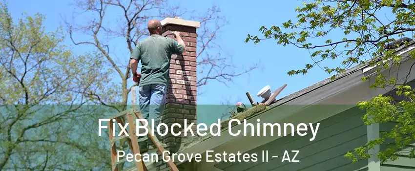 Fix Blocked Chimney Pecan Grove Estates II - AZ
