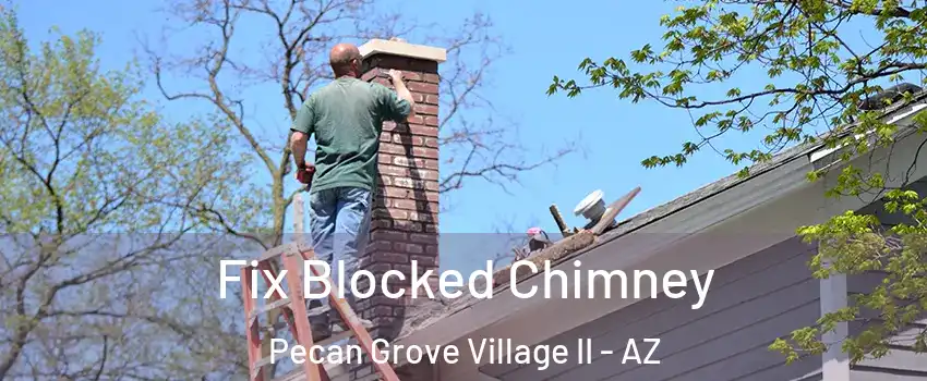 Fix Blocked Chimney Pecan Grove Village II - AZ
