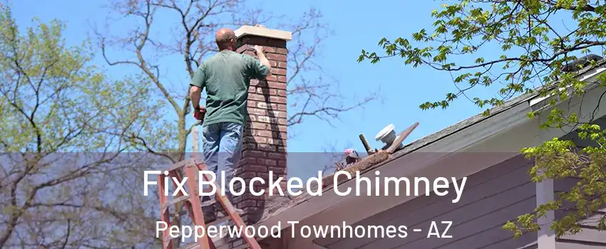 Fix Blocked Chimney Pepperwood Townhomes - AZ