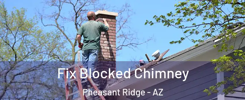 Fix Blocked Chimney Pheasant Ridge - AZ