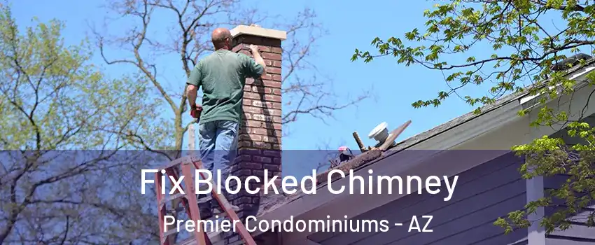 Fix Blocked Chimney Premier Condominiums - AZ