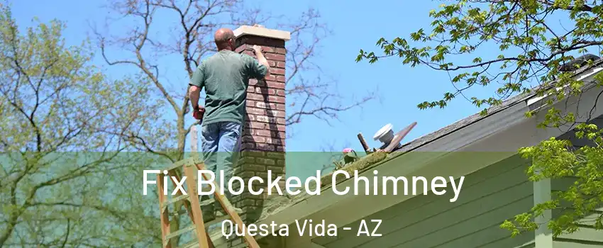 Fix Blocked Chimney Questa Vida - AZ