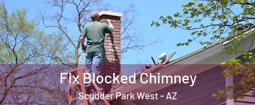 Fix Blocked Chimney Scudder Park West - AZ