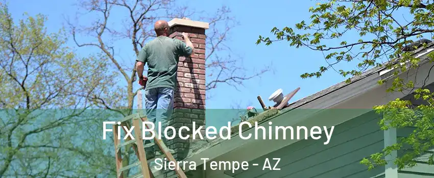Fix Blocked Chimney Sierra Tempe - AZ
