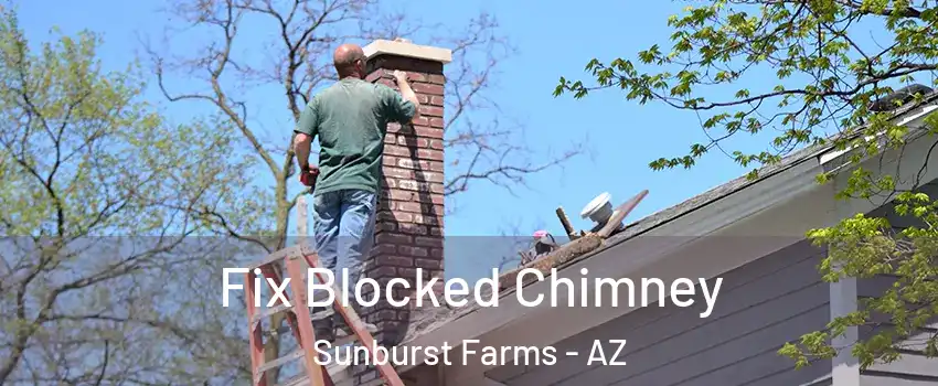 Fix Blocked Chimney Sunburst Farms - AZ